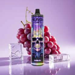 JNR Calavera 11000 نفث شاحن Type-C 850 مللي أمبير 21 مللي عصير عنب آيس
