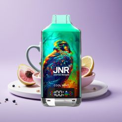 JNR Falcon X 18000 Puffs 750mAh 24ml Dual Mesh Cool Mint